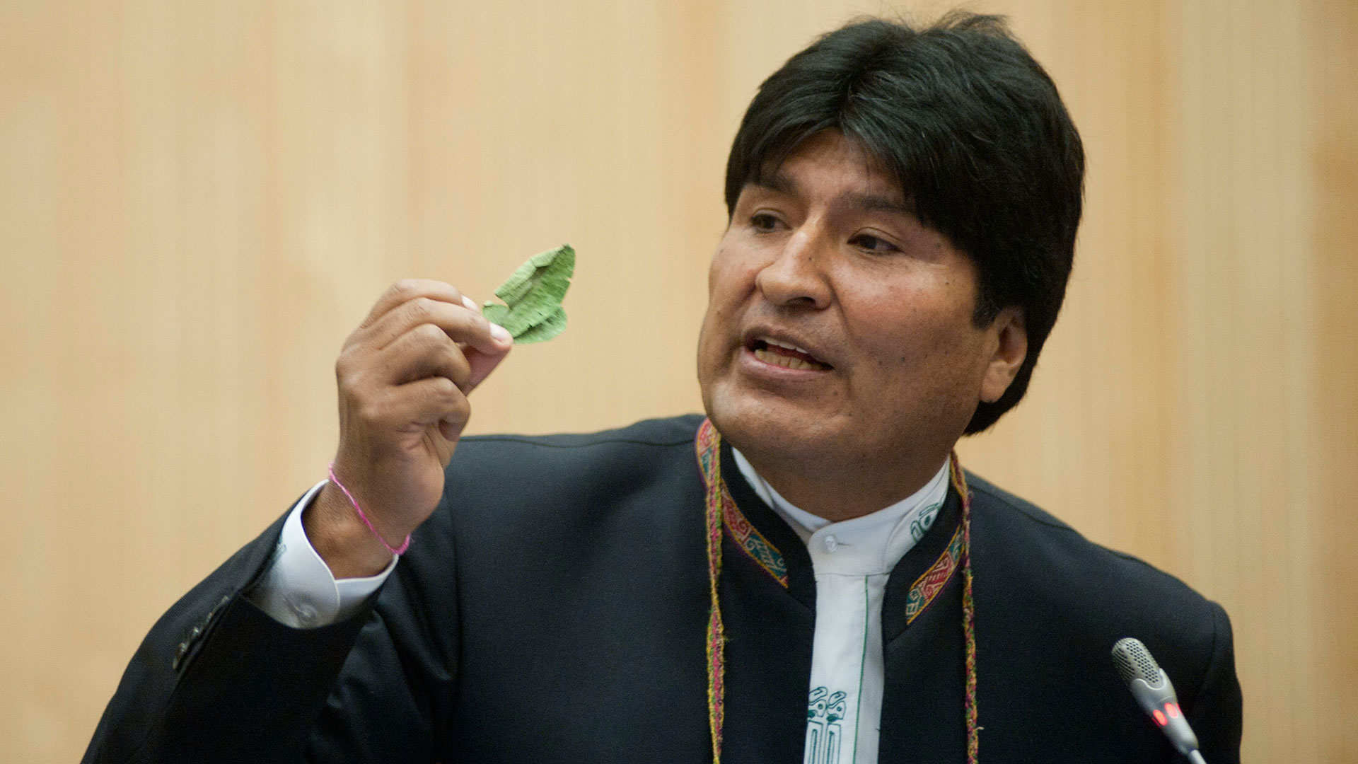 Evo Morales promulgó una polémica ley que amplía la superficie de cultivo de coca en Bolivia - Infobae