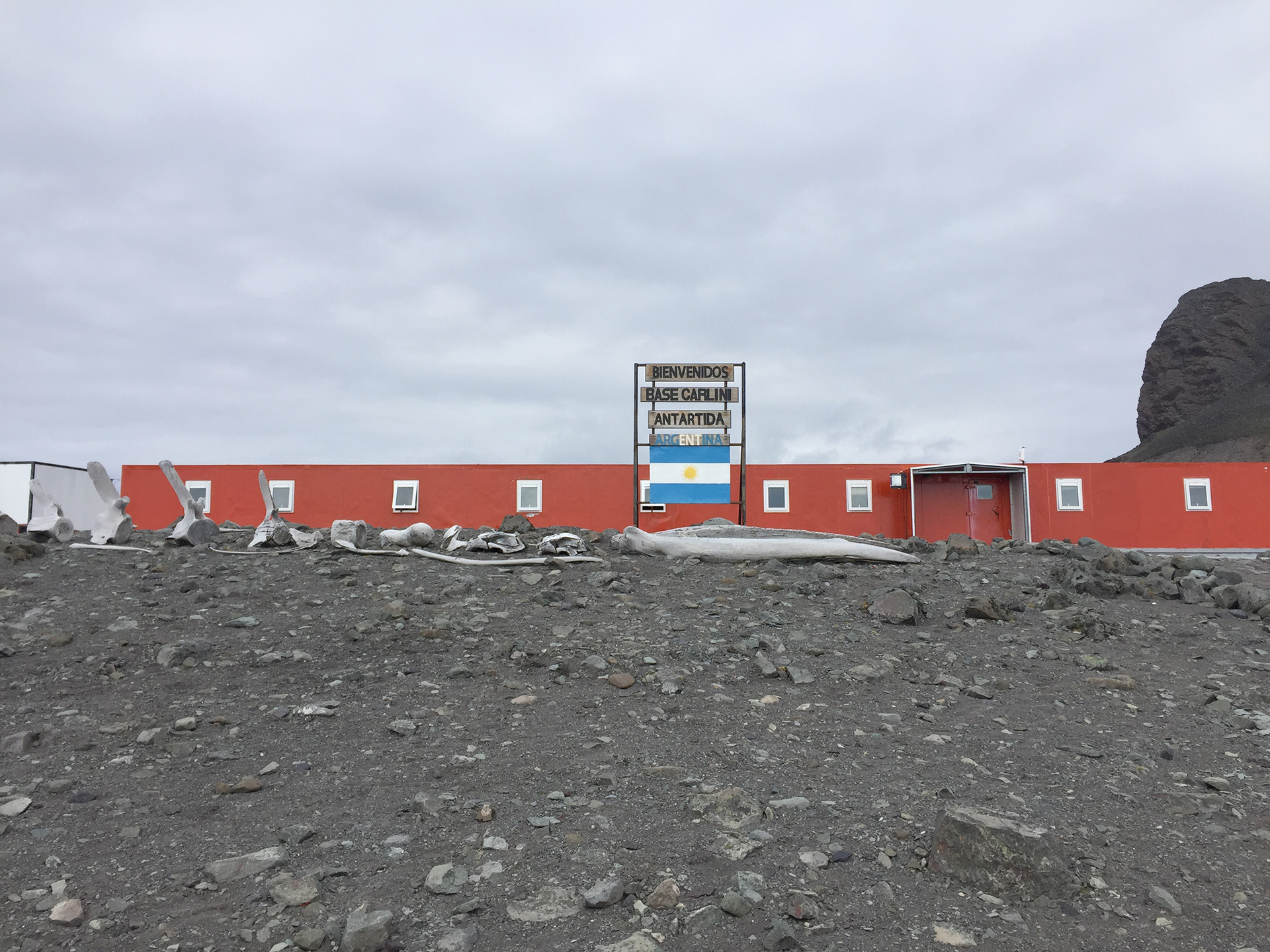 Vivir en Carlini, una de las 13 bases argentinas en la Antártida ...