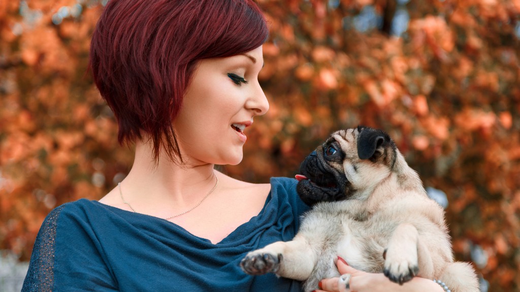 La ciencia encontró el método más efectivo para que un perro interprete a su dueño (iStock)