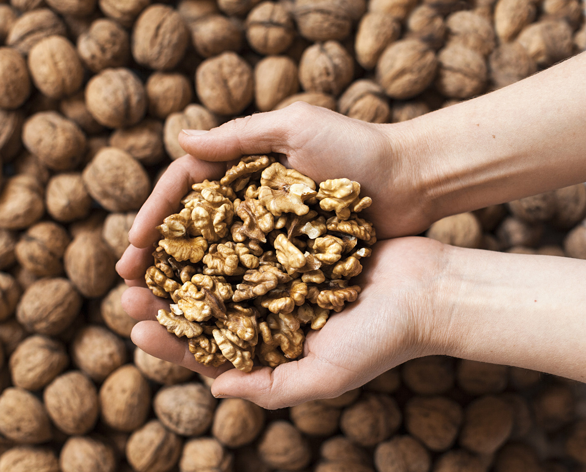 Agregar nueces y semillas a las ensaladas es un hábito que conviene incorporar (iStock)