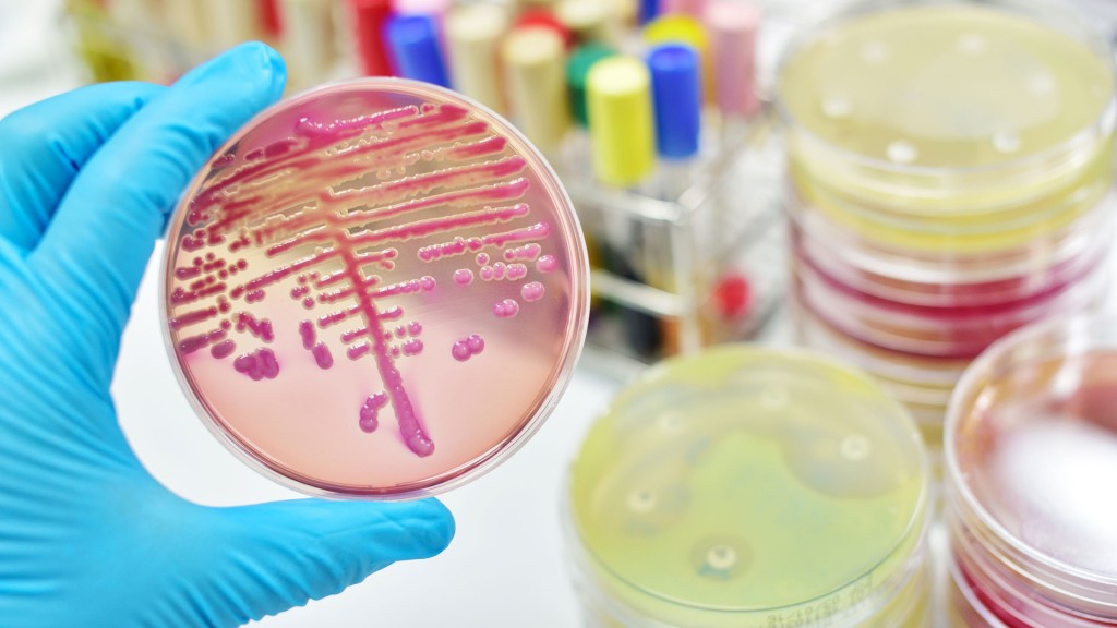 Esta bacteria intestinal se trasmite por medio hospitalario (iStock)