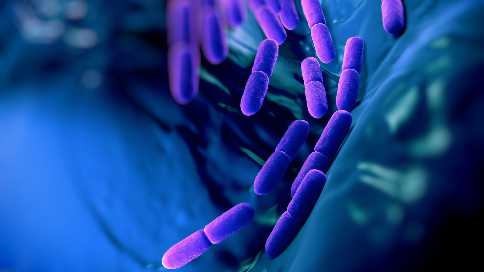 Uno de los desafíos de la ciencia pasa por encontrar soluciones ante la bacterias resistentes (iStock)