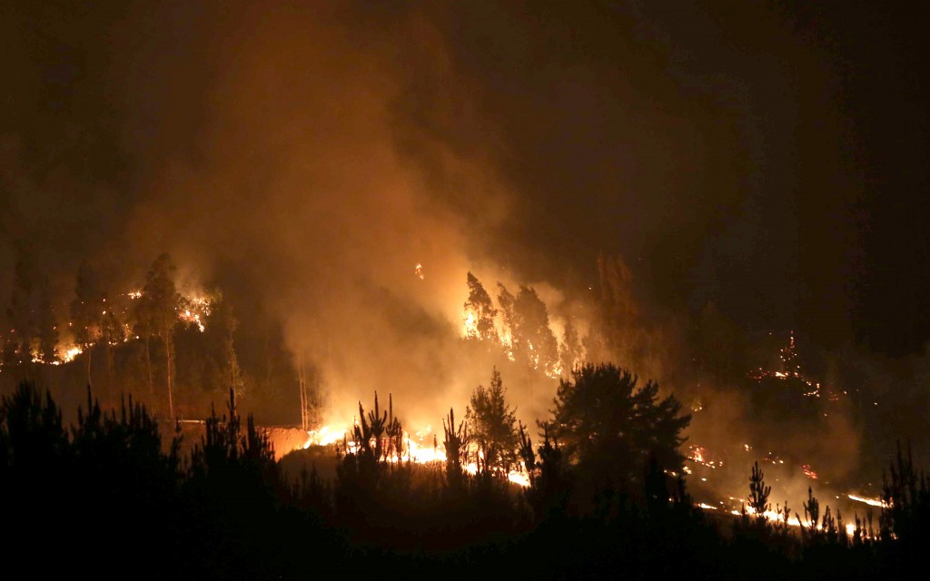 Un bosque en llamas en Empedrado, en la región de Maule (Reuters)