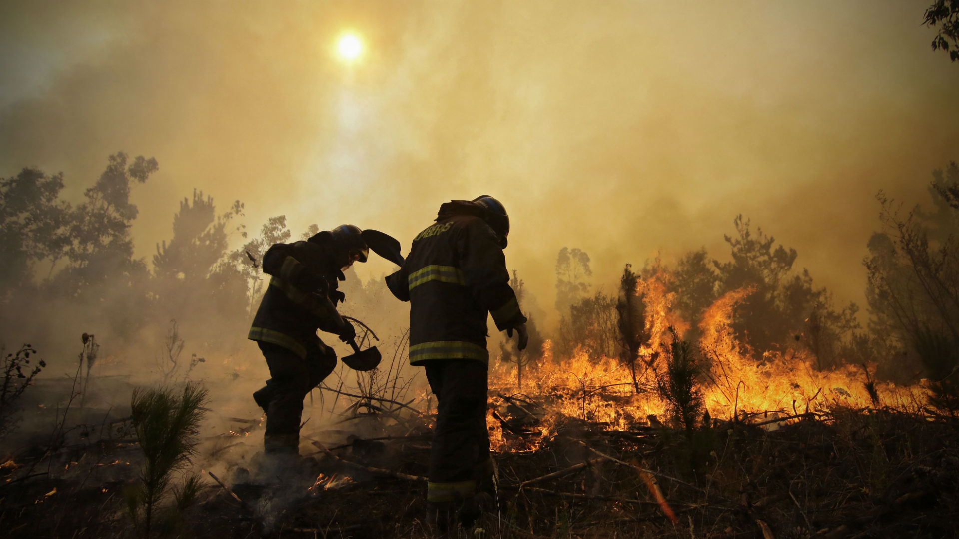 chile incendios
