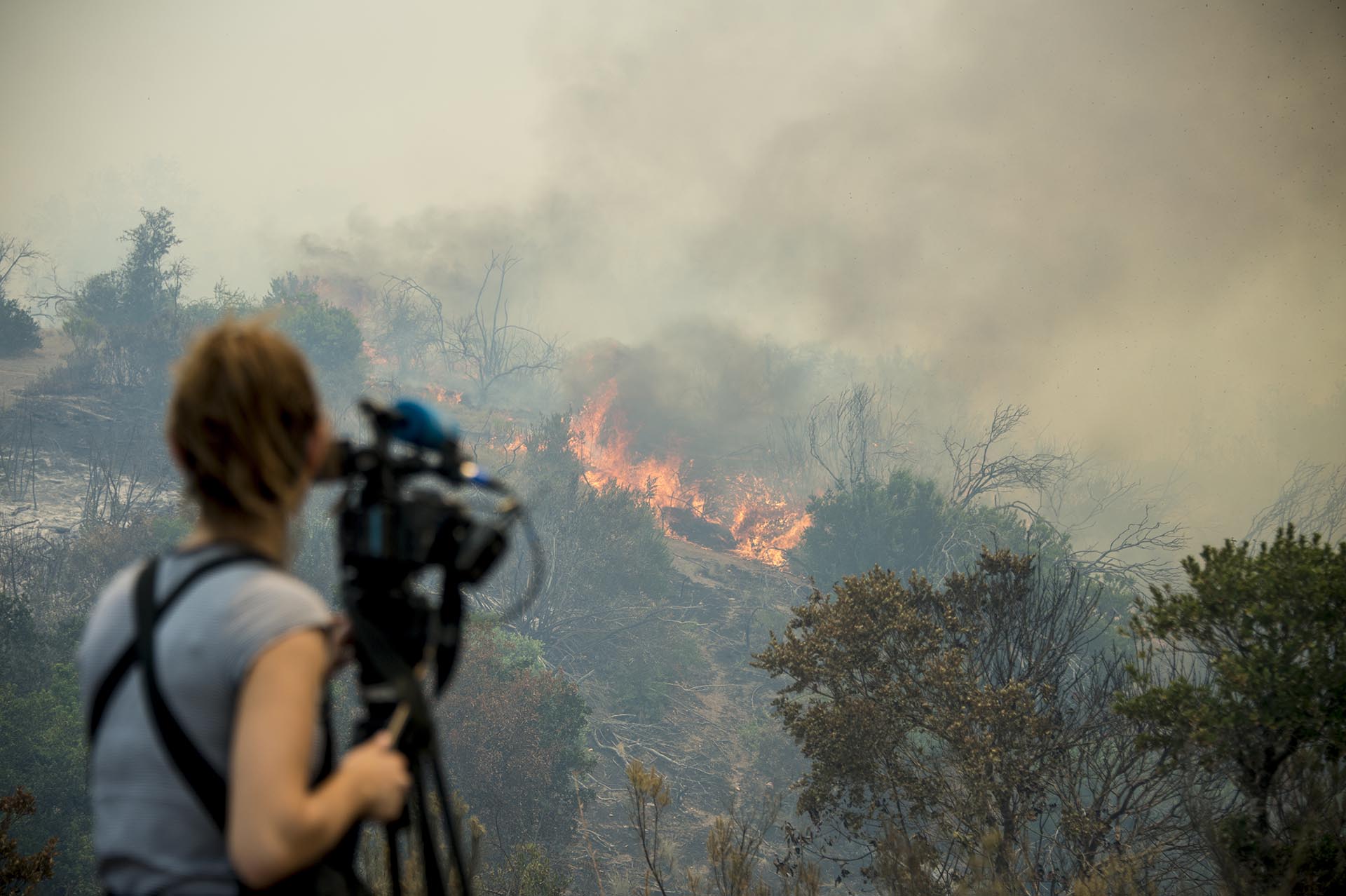 La presidente Bachelet decretó estado de excepción constitucional en las regiones de O’Higgins, el Maule y Biobío, donde más de 4.000 personas combaten el fuego, entre bomberos voluntarios, brigadistas (bomberos forestales), carabineros, detectives, funcionarios públicos, militares y civiles