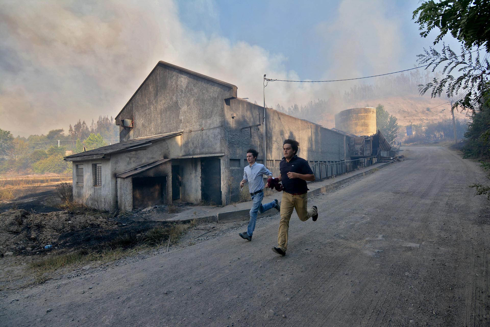 Los incendios afectan zonas rurales donde viven, en su mayoría, agricultores y criadores de ganado. Las grandes empresas forestales también se han visto afectadas, principalmente en la región del Maule, donde el fuego consumió más de 160.000 hectáreas, muchas de ellas de pinos y eucaliptos
