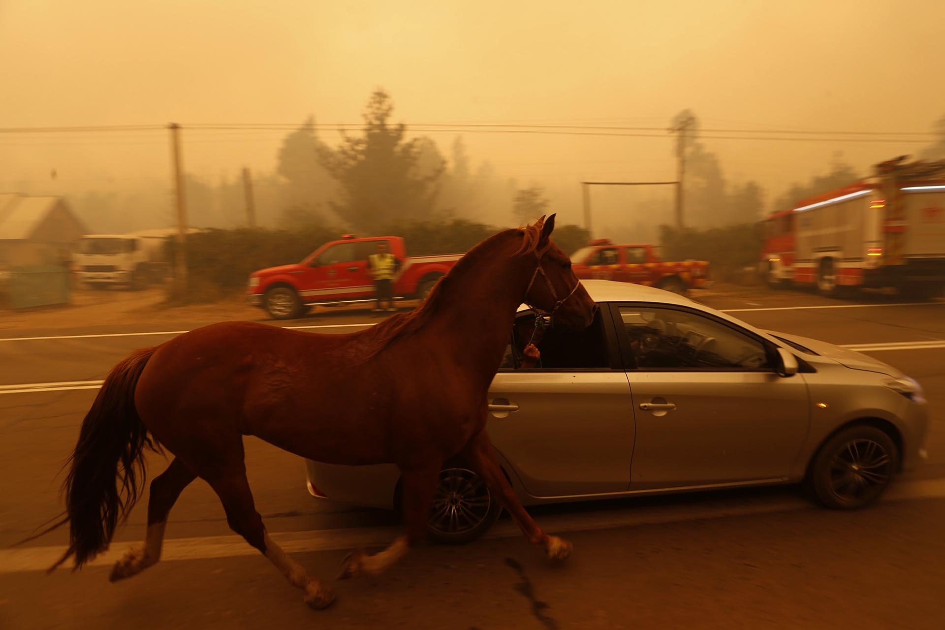 Aún hay 53 incendios activos, 48 fueron controlados y 2 extinguidos, según el último reporte de la Corporación Nacional Forestal (Conaf)
