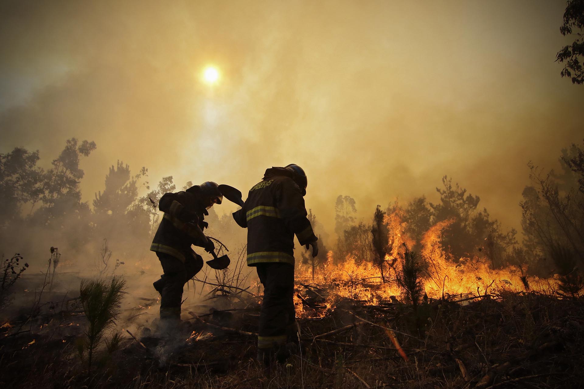 Un bombero perdió la vida este jueves a causa de los devastadores incendios que asolan el centro-sur de Chile, con lo que ya son diez los fallecidos en la mayor catástrofe forestal de la historia del país