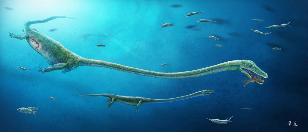 A fish-eating reptile called Dinocephalosaurus, which lived about 245 million years ago during the Triassic Period, is pictured in this artist's reconstruction handout image showing the rough position of the embryo within the mother. Dinghua Yang/Handout via REUTERS ATTENTION EDITORS - THIS IMAGE WAS PROVIDED BY A THIRD PARTY. EDITORIAL USE ONLY