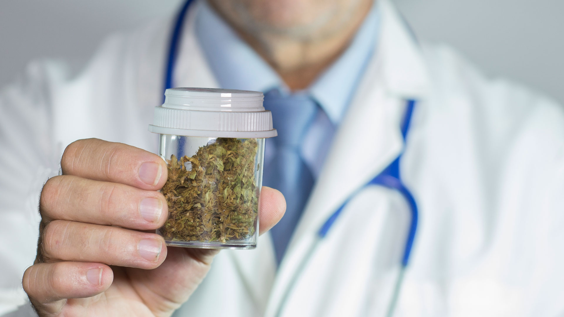 El cannabis medicinal se utiliza como una opción terapéutica para distintas enfermedades (iStock)