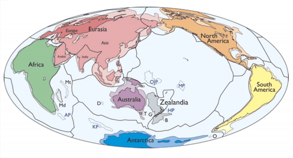 Mapa de las placas tectónicas de la Tierra en el que se muestra al nuevo continente, Zealandia, justo en el límite entre las placas Indoaustraliana y del Pacífico (GSA)