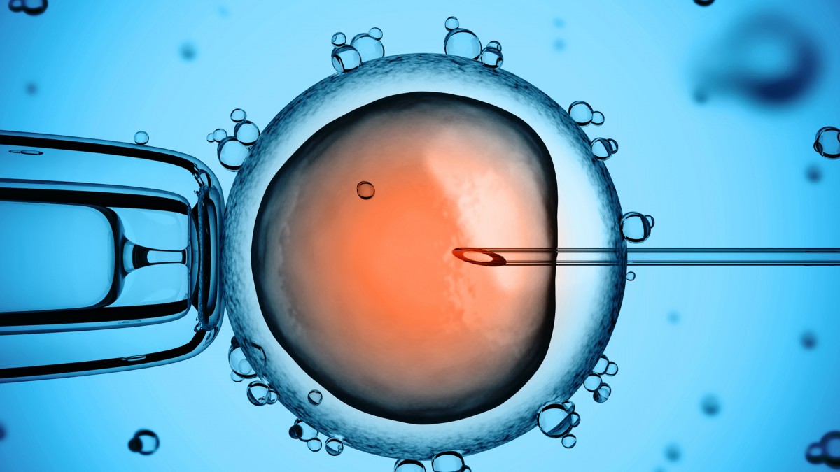 La inseminación artificial y la fecundación invitro son los dos tratamientos más utilizados hoy en día en relación a la maternidad tardia (iStock)
