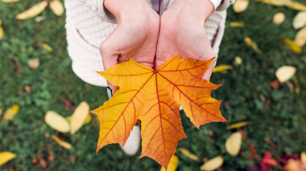 En otoño también es importante proteger la piel del sol (IStock)
