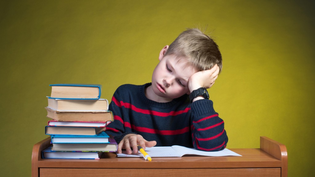 En el nivel primario solo se evaluó Matemática y Lengua
