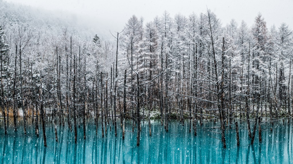 La Laguna Azul de Biei (Hokkaido) es un lugar realmente sorprendente (istock)