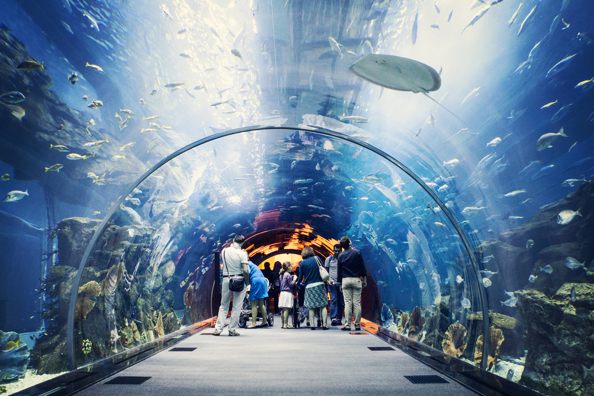 El acuario, uno de los más impresionantes del mundo