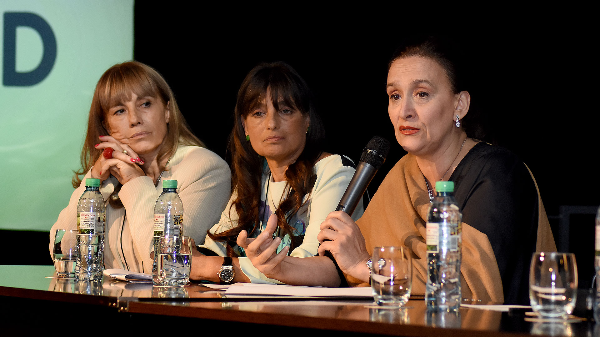 Las palabras de apertura estuvieron a cargo de la Vicepresidente, Gabriela Michetti