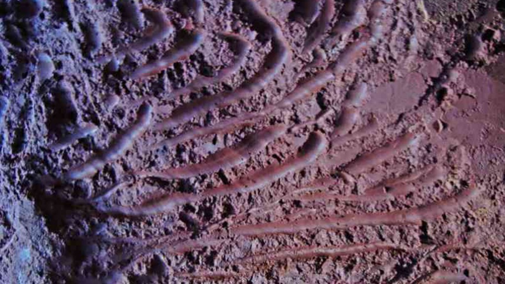 mix-5411-tunel-de-10-mil-años-de-antiguedad-(2)-1920