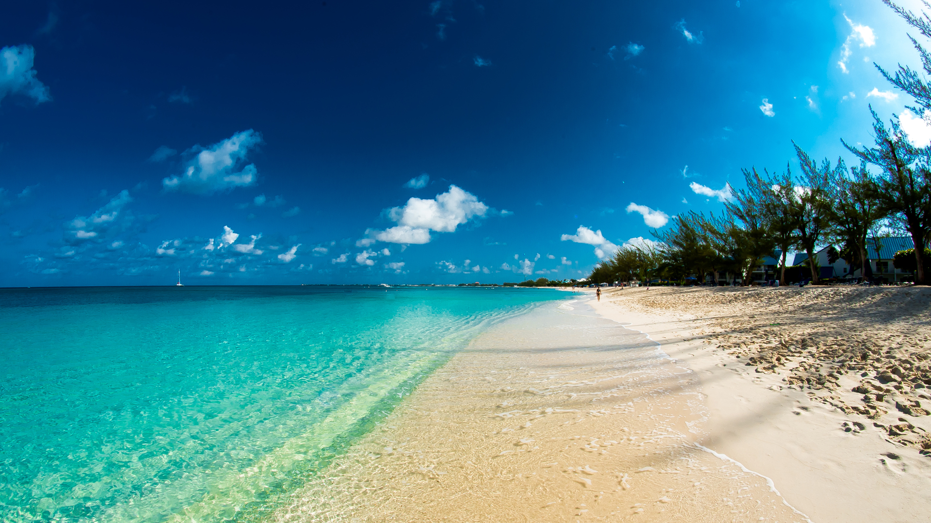 Martín Litwak argumentó que la demonización de los paraísos fiscales como Islas Vírgenes Británicas o Islas Caimán es una excusa para mantener impuestos altos en el mundo (iStock)