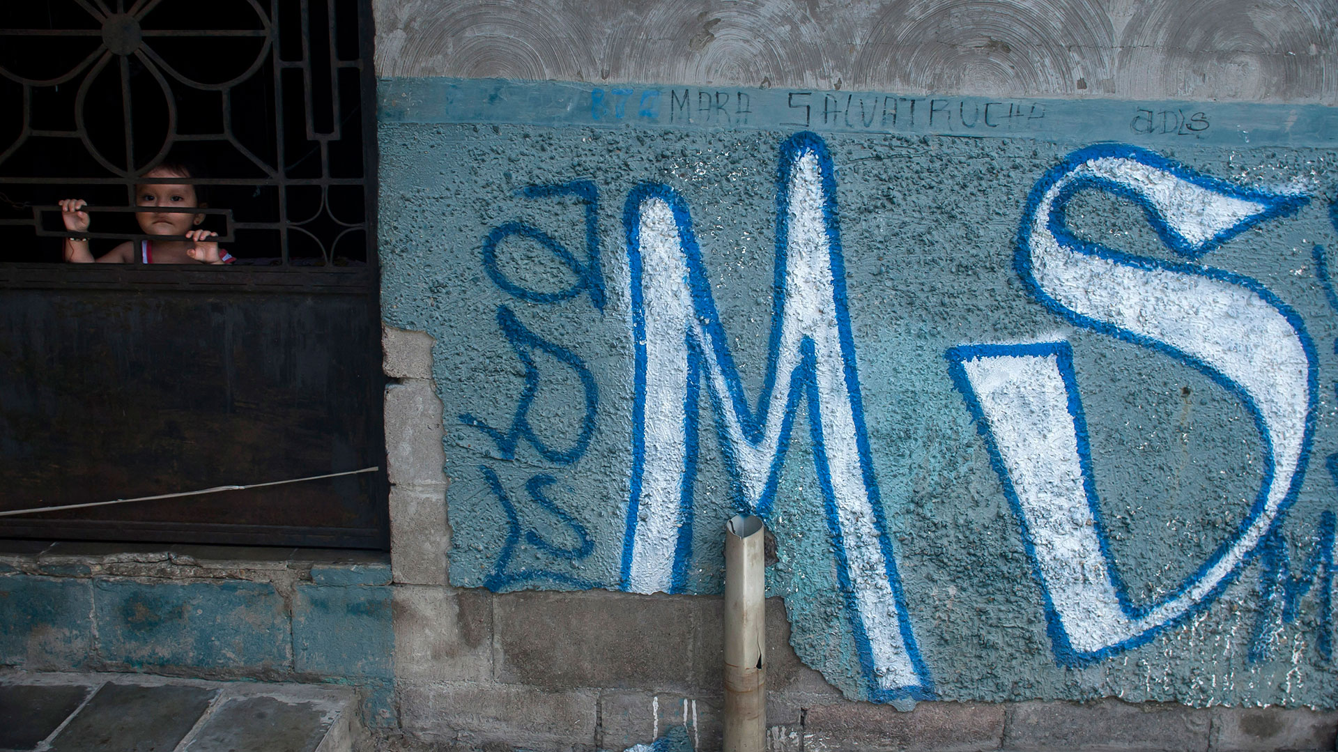 La MS-13 tiene operadores para comprar y vender automóviles en América Central. (AP)