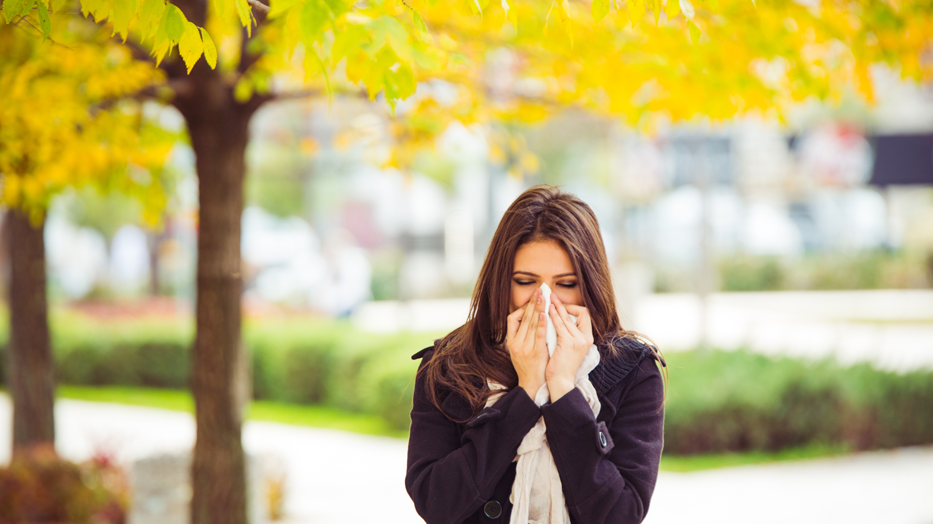 El polvo que trae ácaros es perjudicial para las personas con asma (iStock)