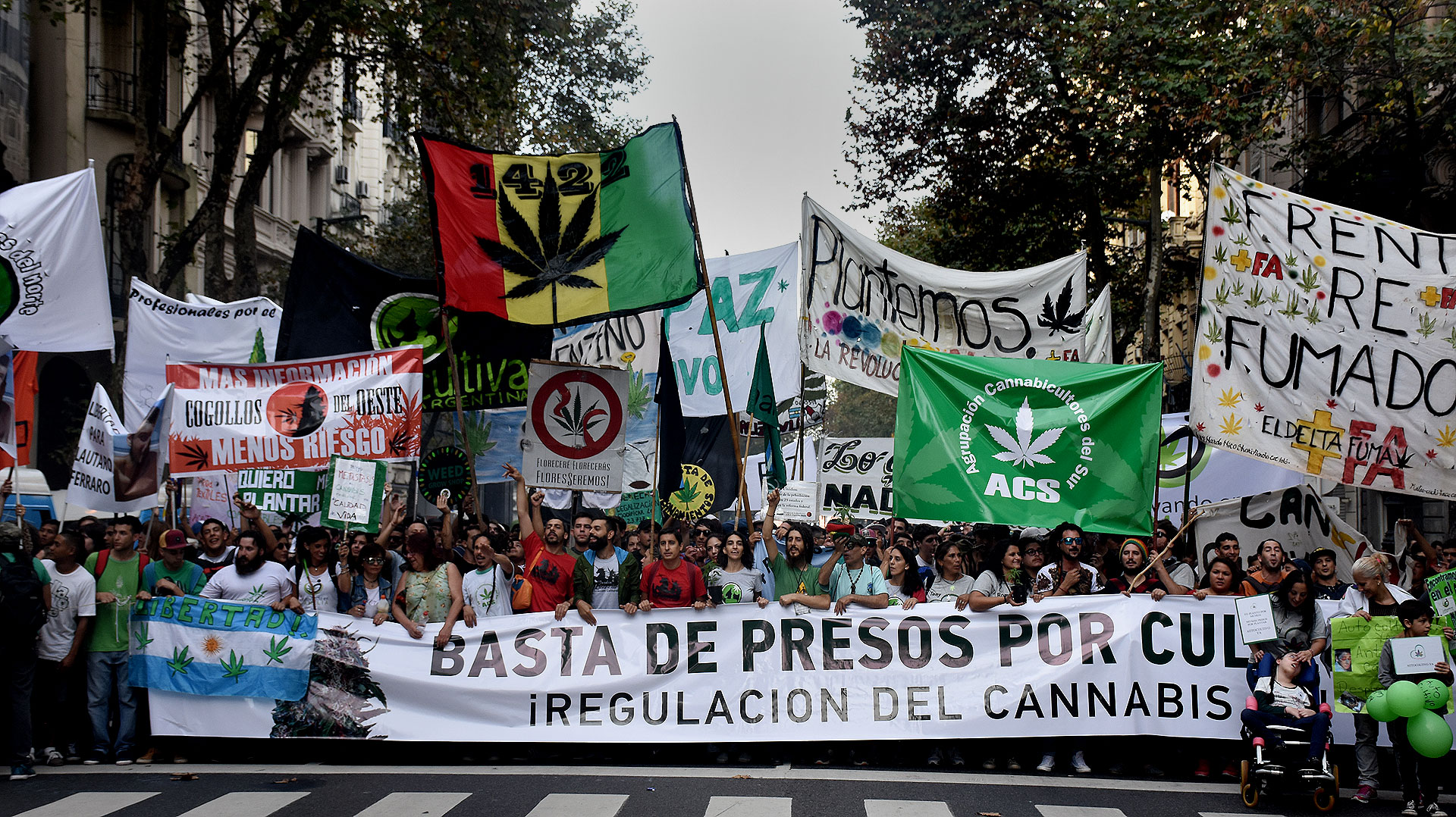 Una multitud marchó al Congreso para pedir la legalización del autocultivo de cannabis - Infobae