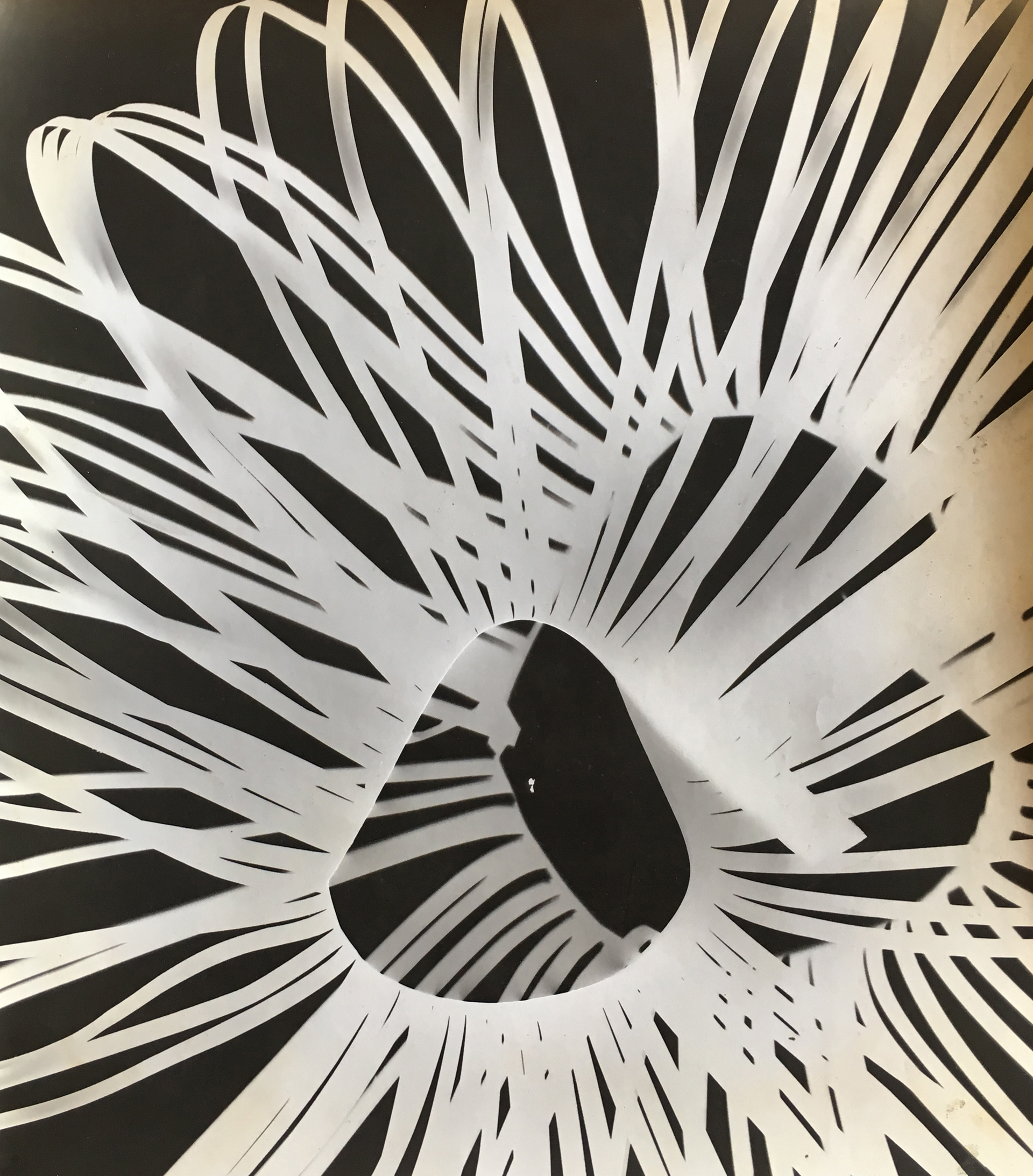 Galería: Aldo de Sousa | Buenos Aires. Artista: Jorge Pereira. Título: Sin título. Técnica: Fotograma. Año: 1964. Medidas: 33 x 29 cm.