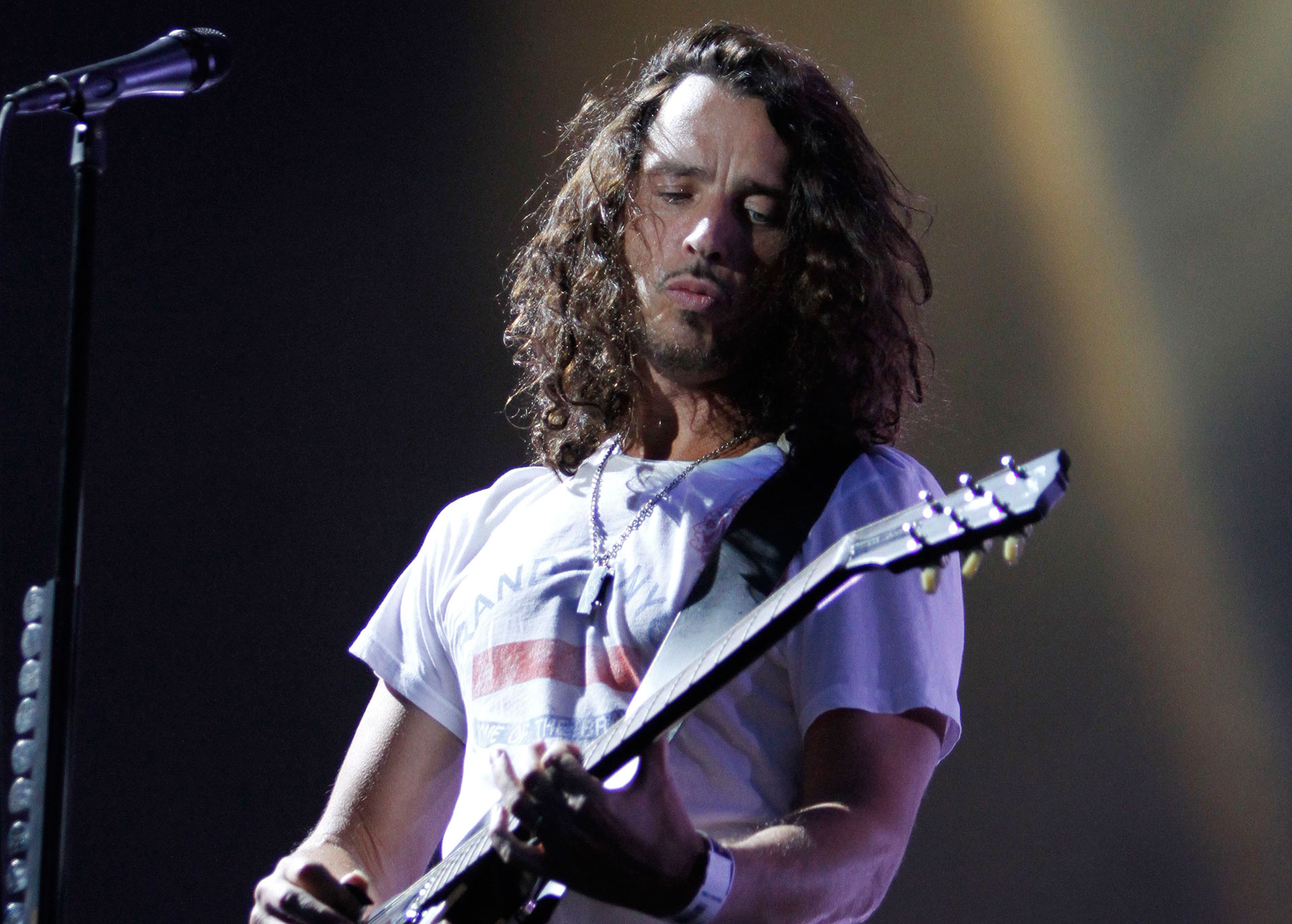 Durante el festival Lollapalooza realizado en el Grant Park, Chicago, en 2010 (AP)