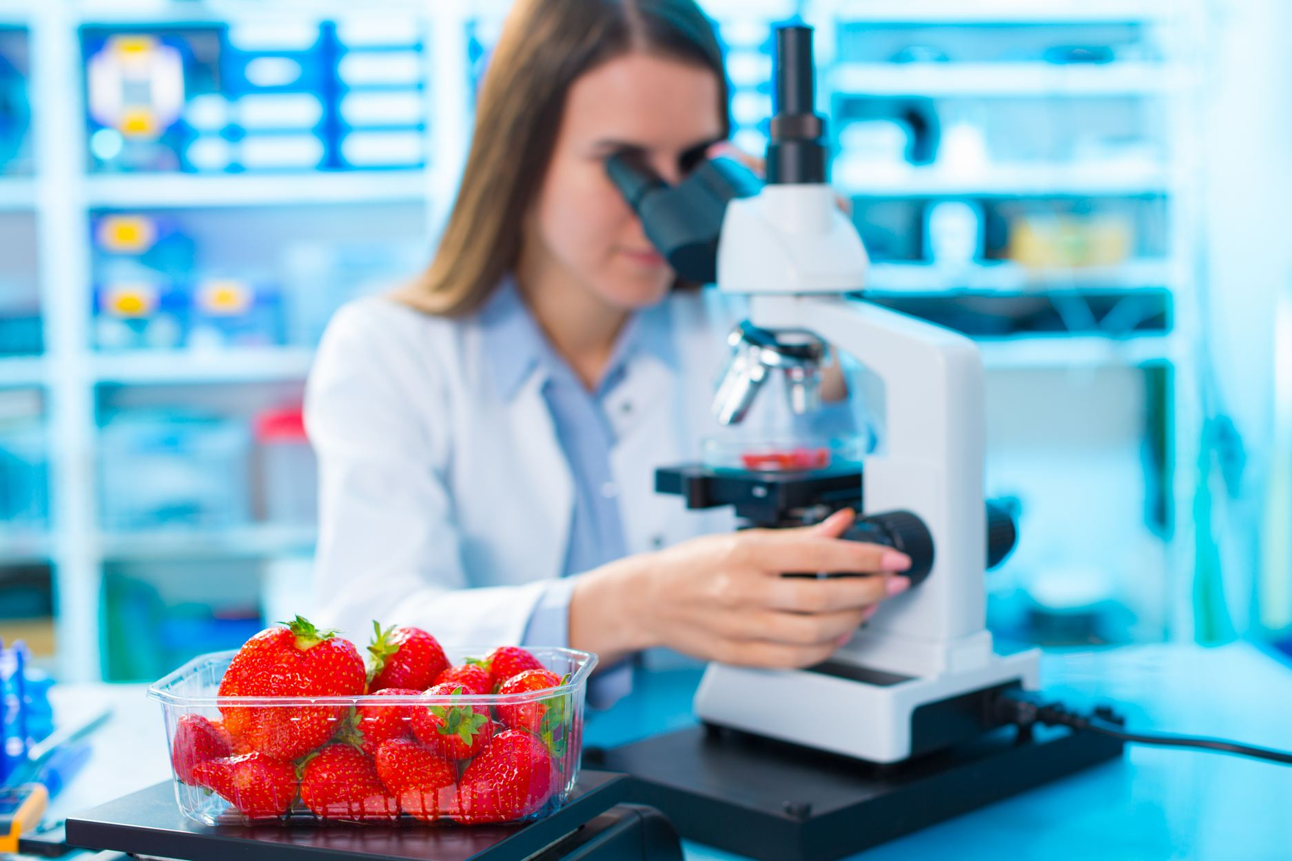 La dieta basada en los resultados obtenidos puede ser útil para la actividad física (iStock)