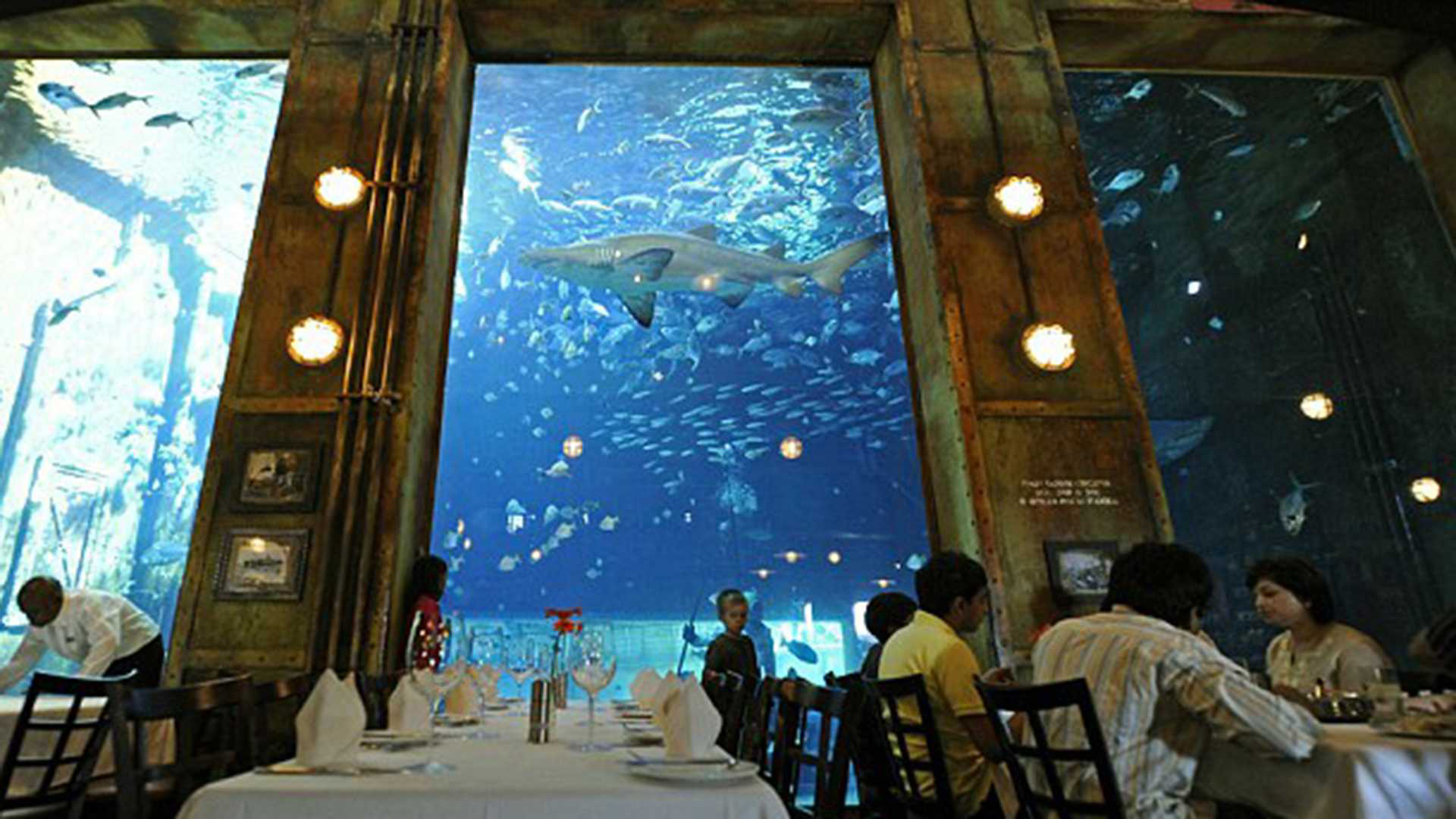 Su acuario tienen una extensión de 500 metros a través de una serie de cuatro naufragios de barcos antiguos de excelente diseño