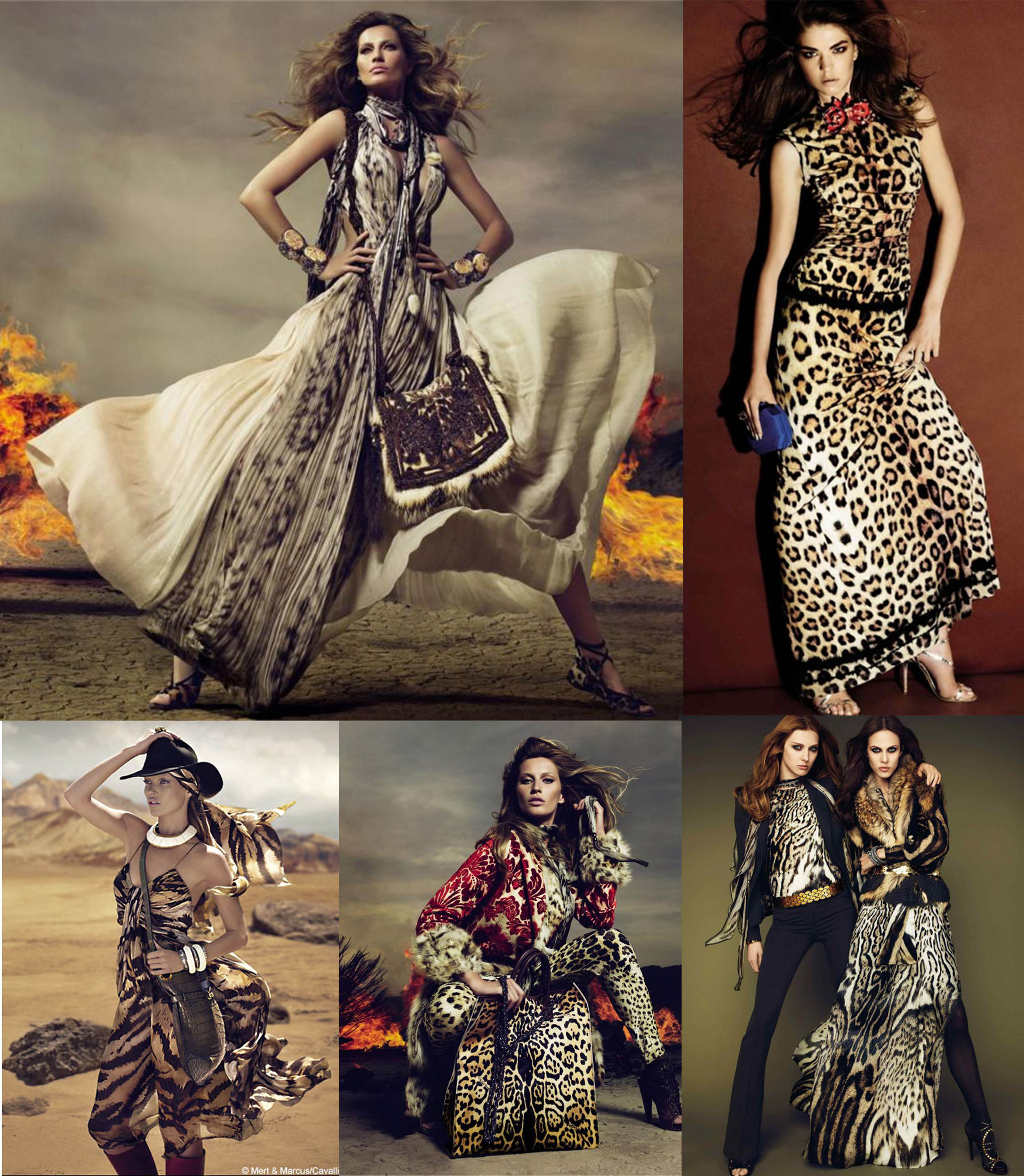 Campañas de Roberto Cavalli con la presencia de todos los prints.