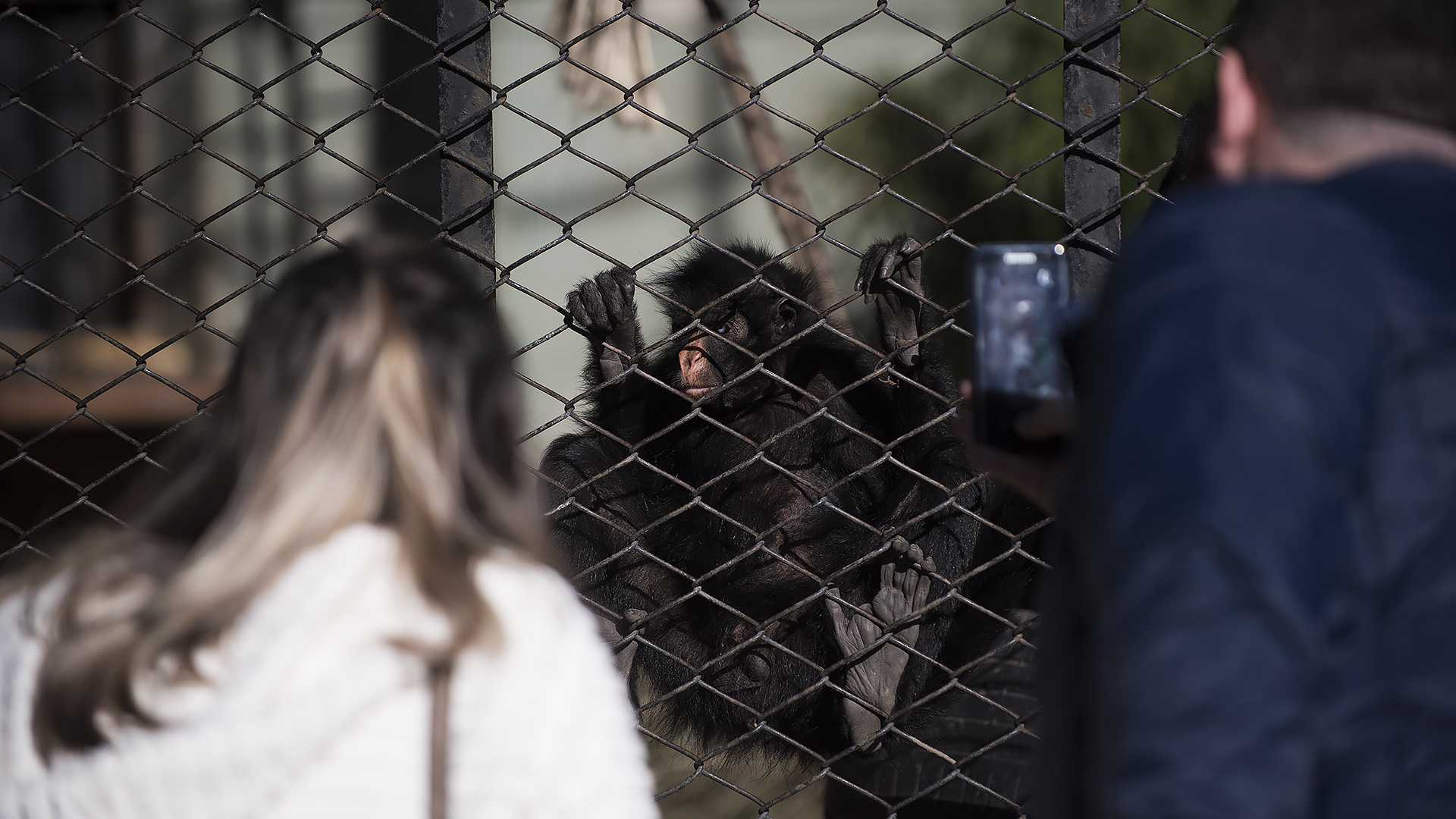 El Ecoparque está abierto cinco días de la semana y se permite el ingreso de hasta 2 mil personas. Aseguran que el promedio bajó desde que se anunció el cierre. (Adrián Escandar)