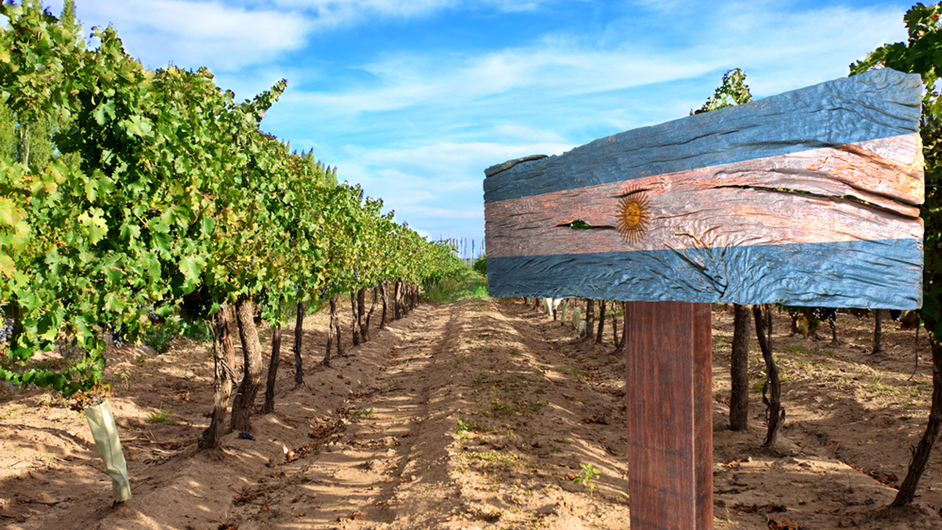 Argentina es uno de los mayores productores de vino del mundo (Shutterstock)