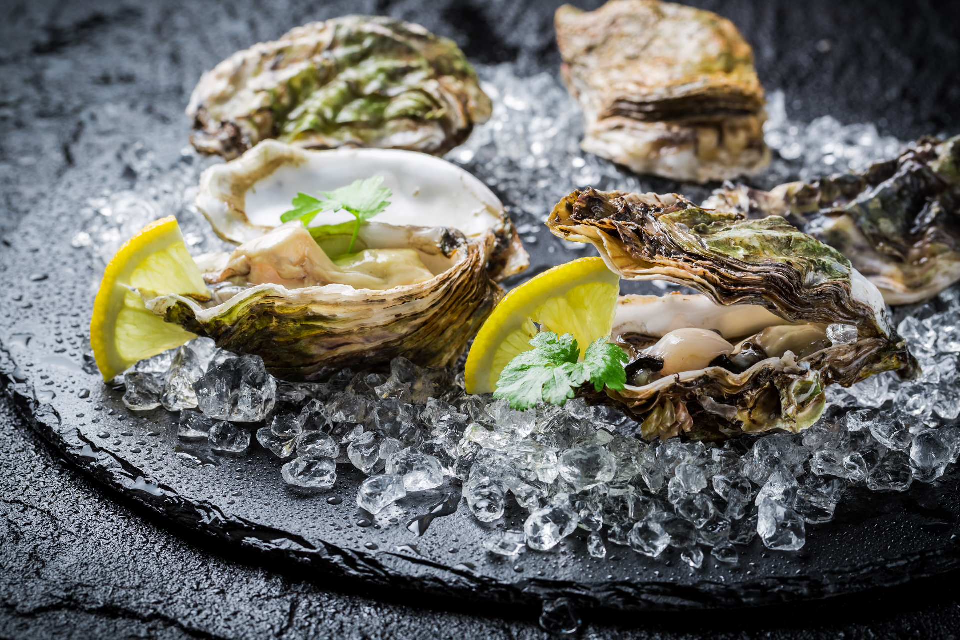 Los mariscos otorgan proteínas de alto valor biológico, ácidos grasos de buena calidad y minerales (iStock)