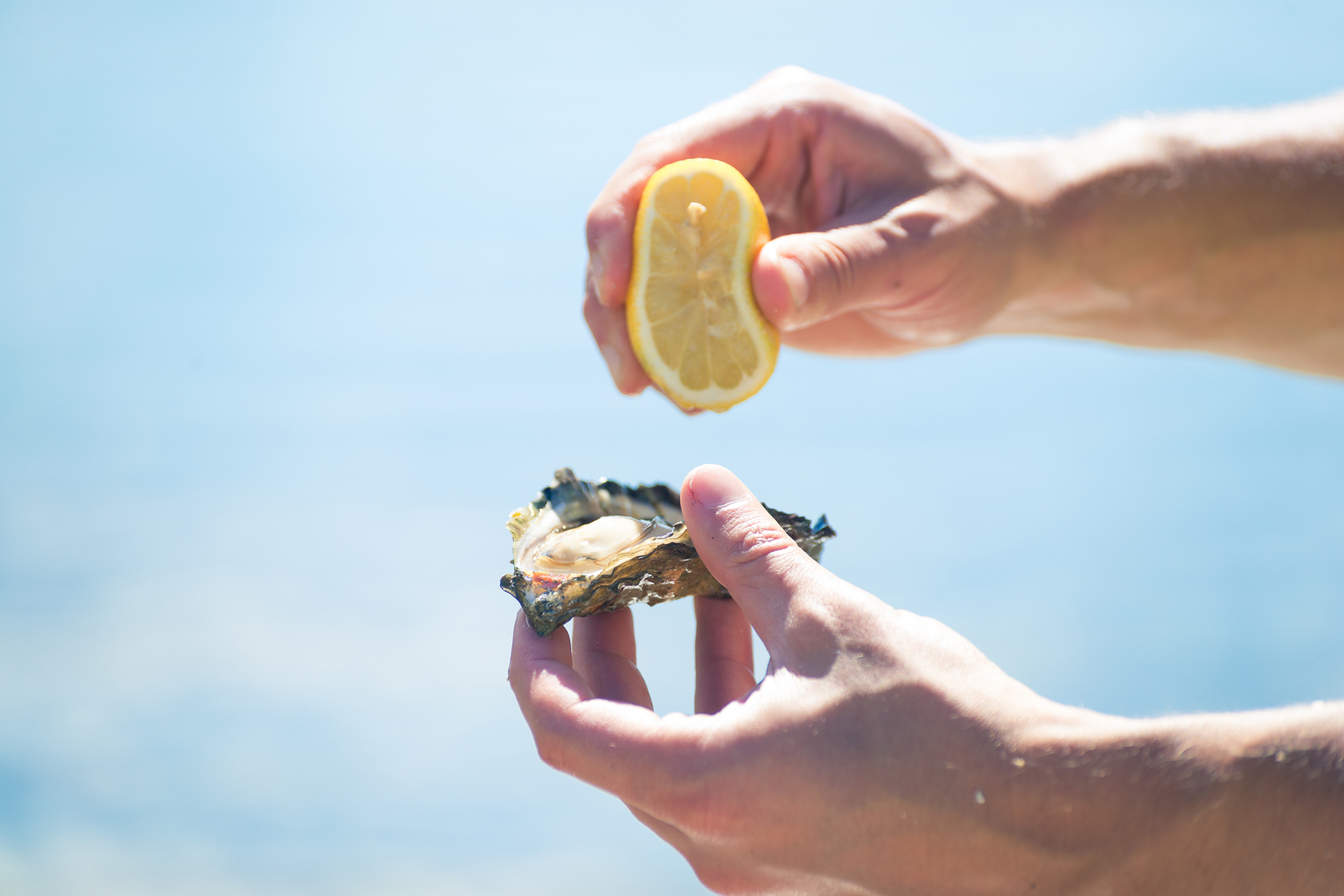 No se recomienda su ingesta en crudo, la cocción es fundamental para eliminar gran parte de bacterias patógenas que puede contener el marisco (iStock)