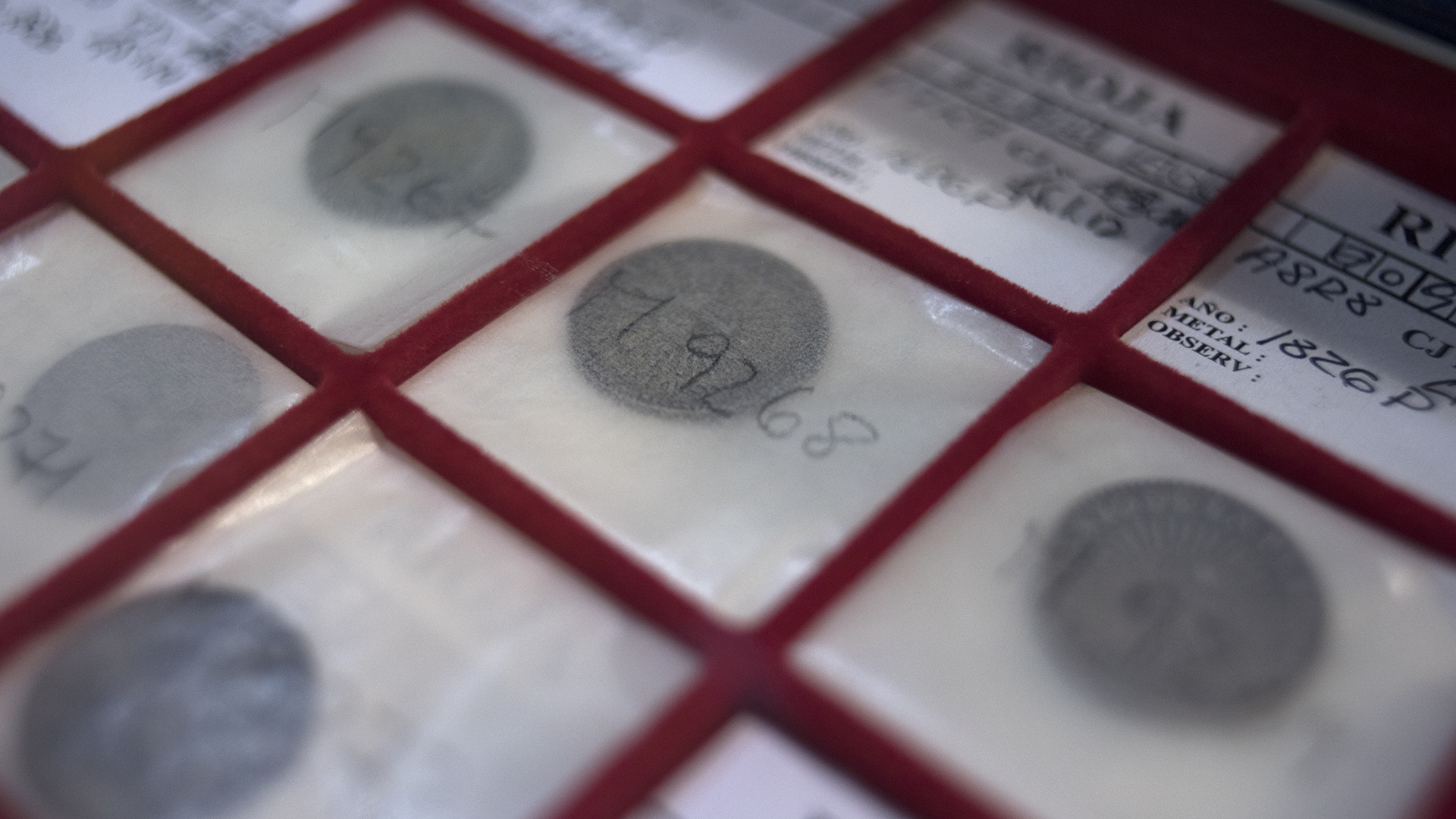 El papel en el que se guardan las monedas se llama Eco Botánico (Adrián Escandar)