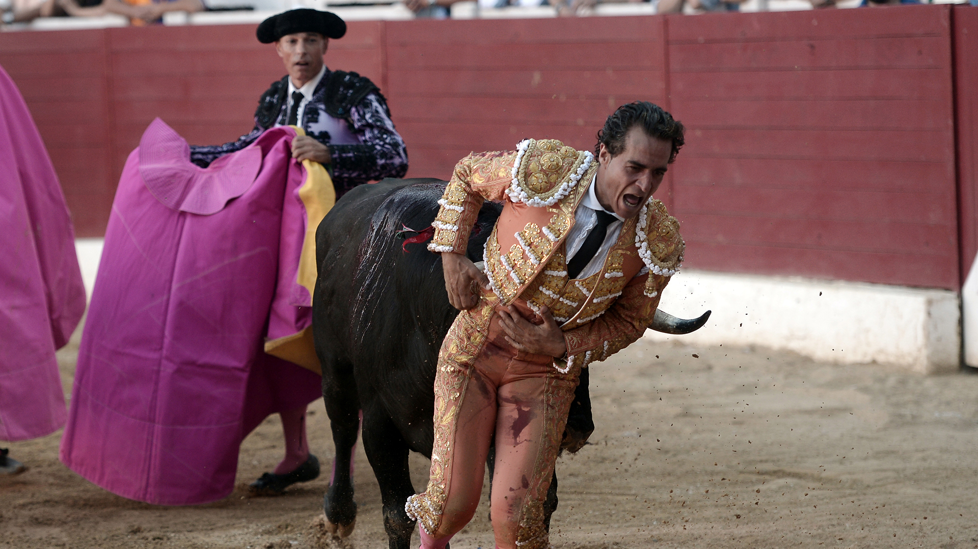 El famoso torero español Iván Fandiño murió tras recibir una cornada en un pulmón durante una corrida en Aire sur Adour, sur de Francia