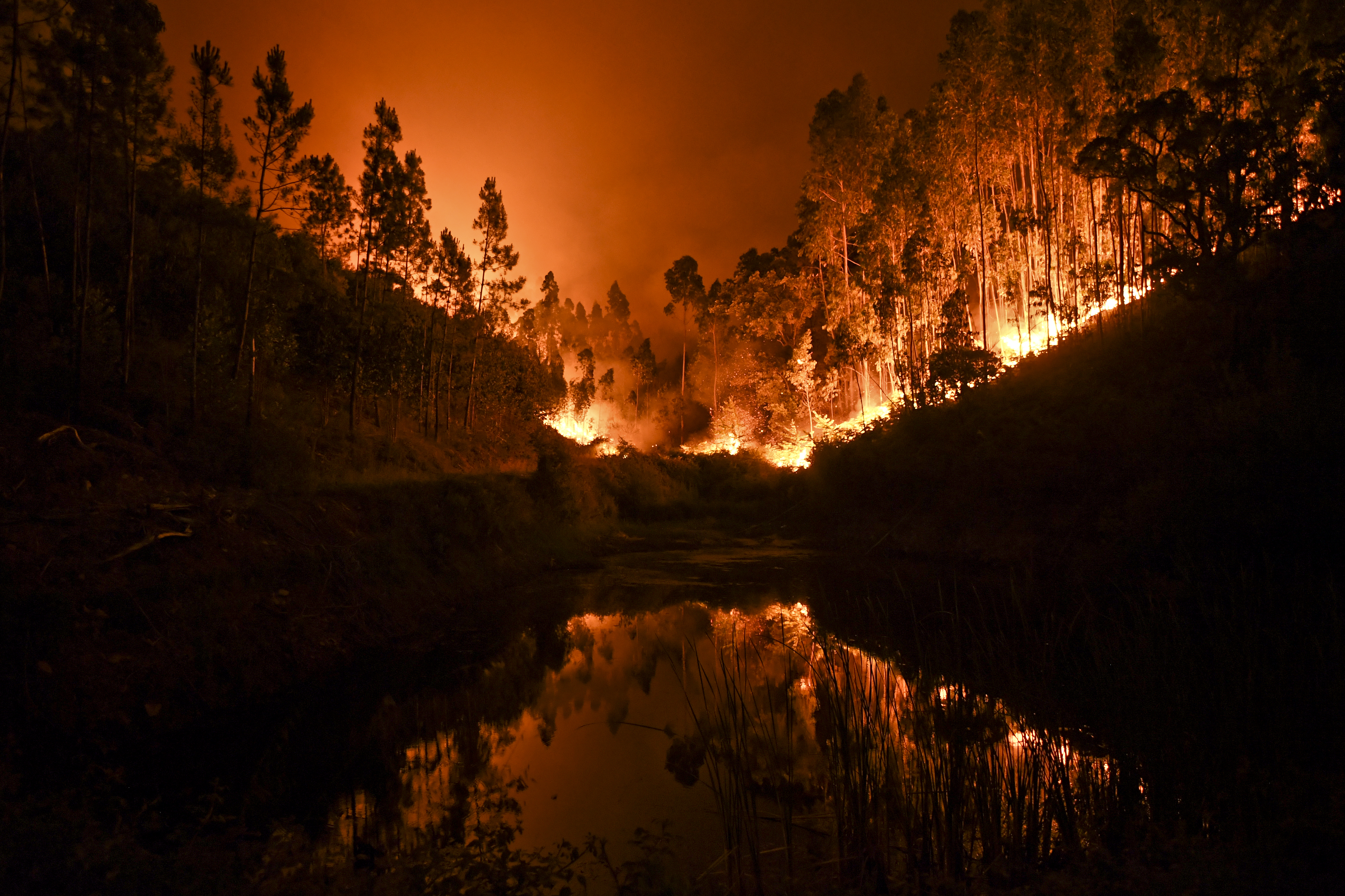 ( AFP PHOTO / PATRICIA DE MELO MOREIRA)