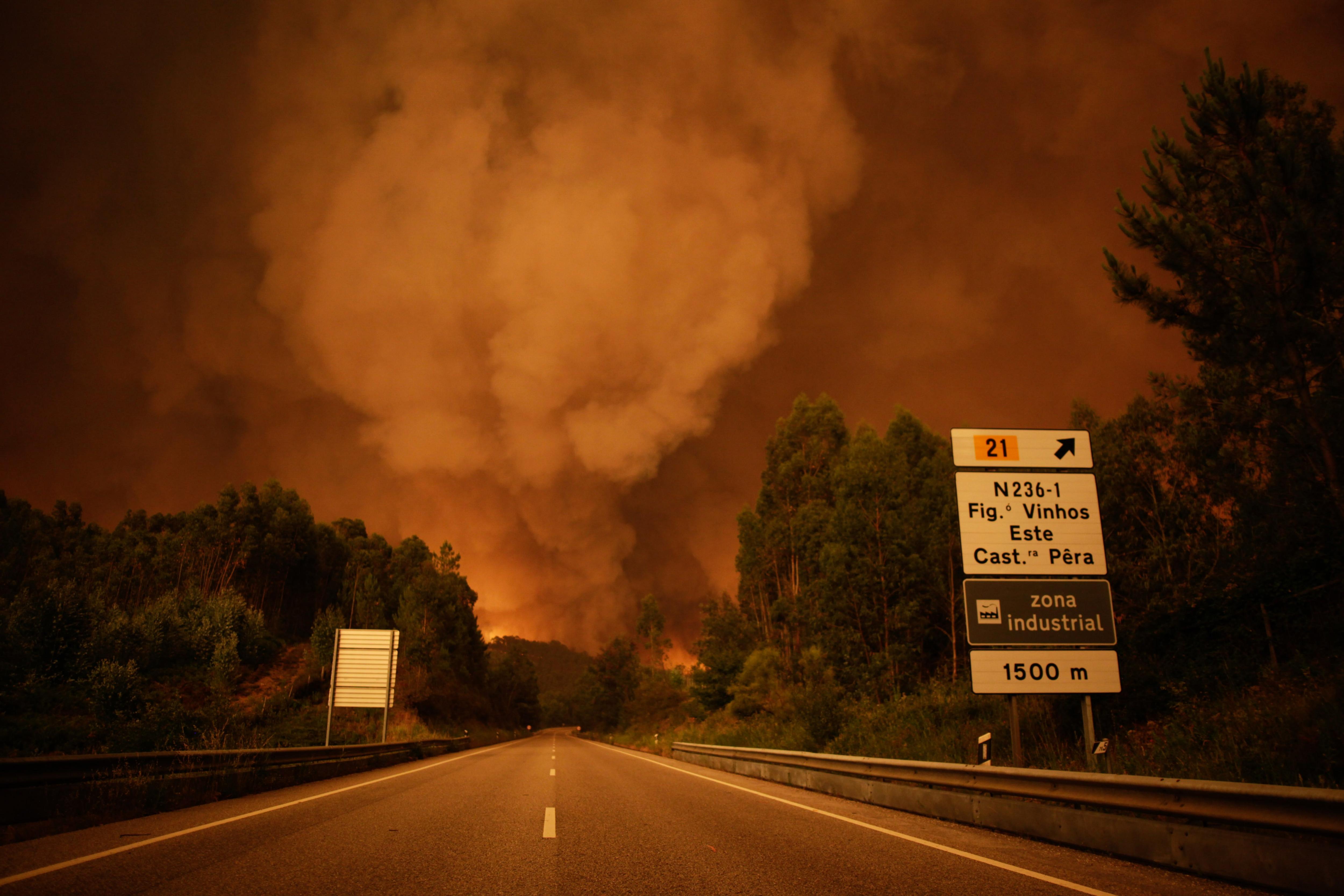 ( EFE/PAULO CUNHA)