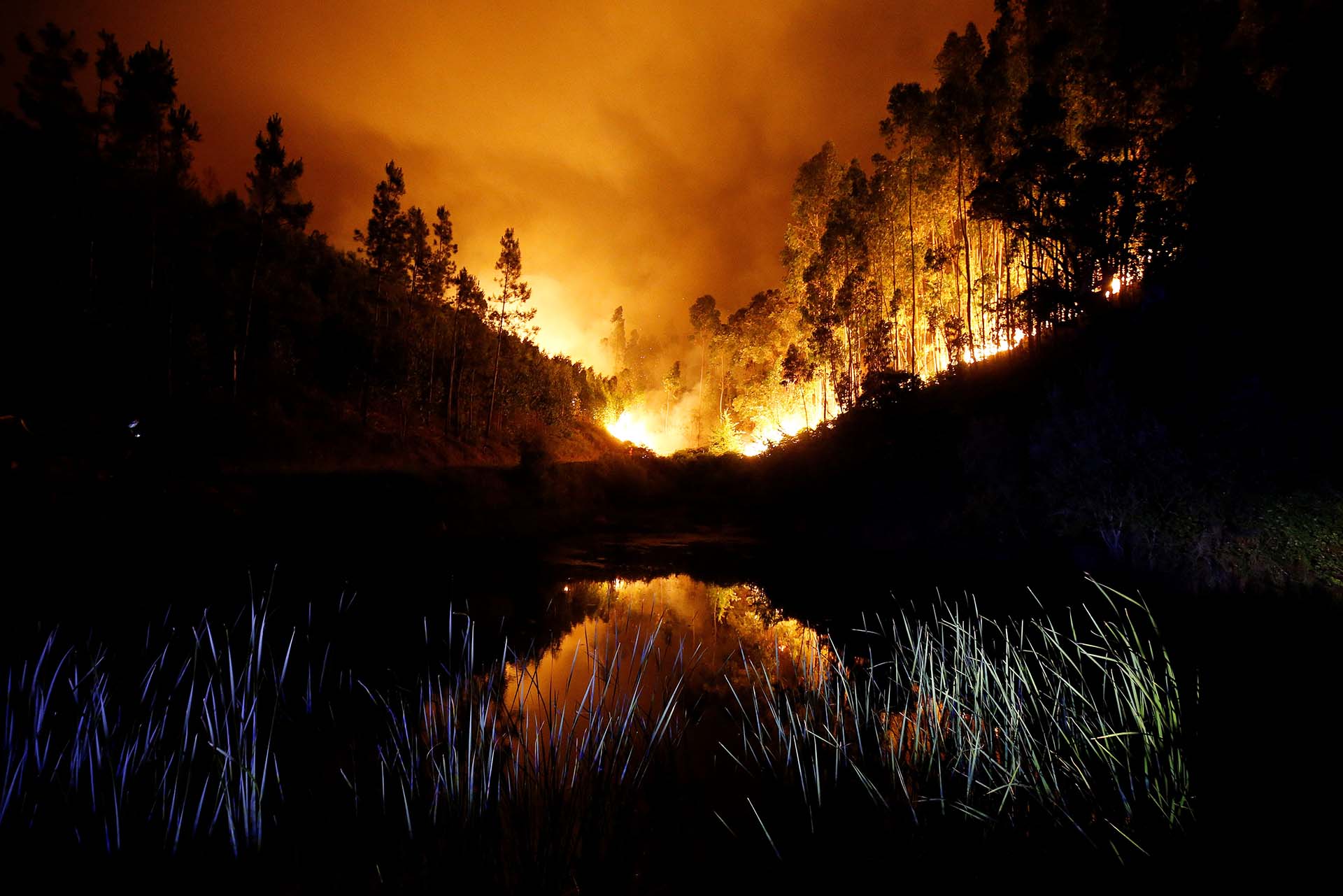 Un gran incendio forestal en Portugal dejó al menos 61 muertos (Reuters)