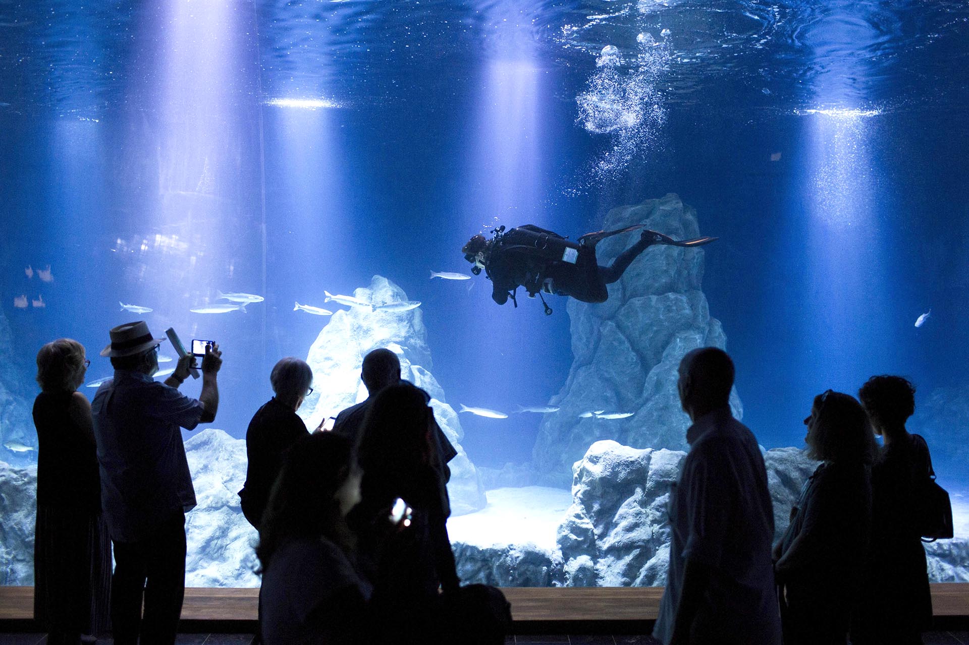 Varias personas visitan el nuevo “Israel Aquarium” en el zoológico bíblico de Jerusalén