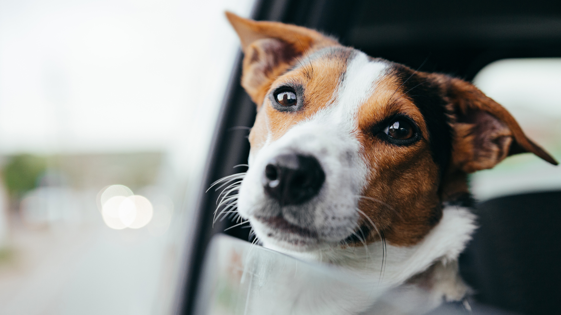 (iStock)
