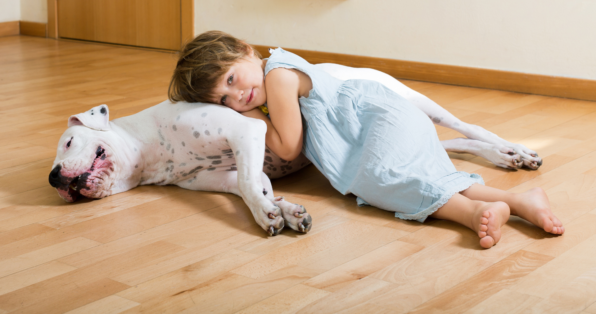 Para una correcta conducta canina es necesario primero comprender sus necesidades y los rasgos característicos de cada animal (iStock)