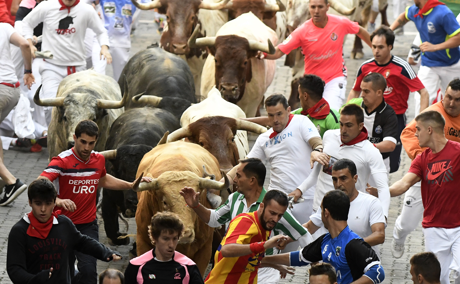 Participants run ahead of Cebada Gago's fighting bulls on the first day of the San Fermin bull run festival in Pamplona, northern Spain on July 7, 2017. Each day at 8:00 am hundreds of people race with six bulls, charging along a winding, 848.6-metre (more than half a mile) course through narrow streets to the city's bull ring, where the animals are killed in a bullfight or corrida, during this festival, immortalised in Ernest Hemingway's 1926 novel "The Sun Also Rises" and dating back to medieval times and also featuring religious processions, folk dancing, concerts and round-the-clock drinking. / AFP PHOTO / MIGUEL RIOPA / 