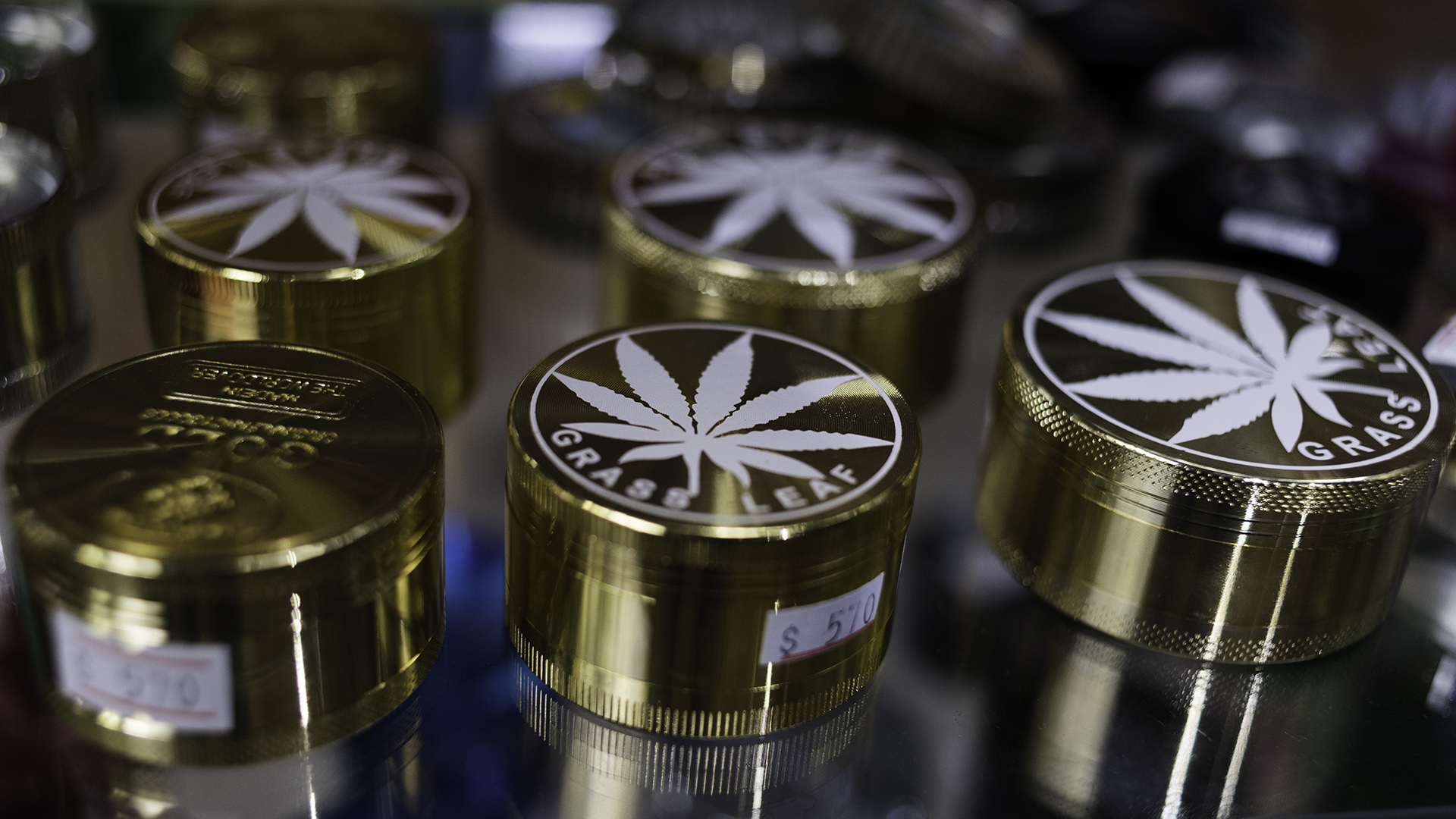 Picadores de cannabis, en venta en un grow shop uruguayo (Adrián Escandar)