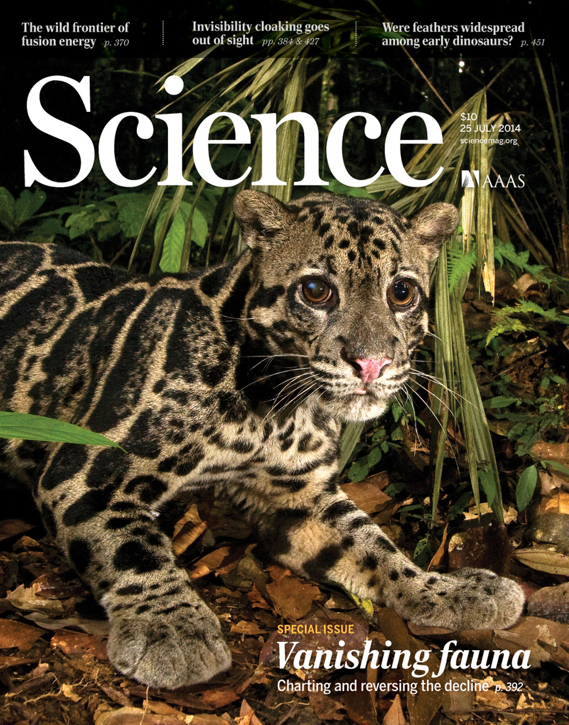 En 2014, la revista Scicence ya había alertado sobre la sexta extinción masiva (Science)