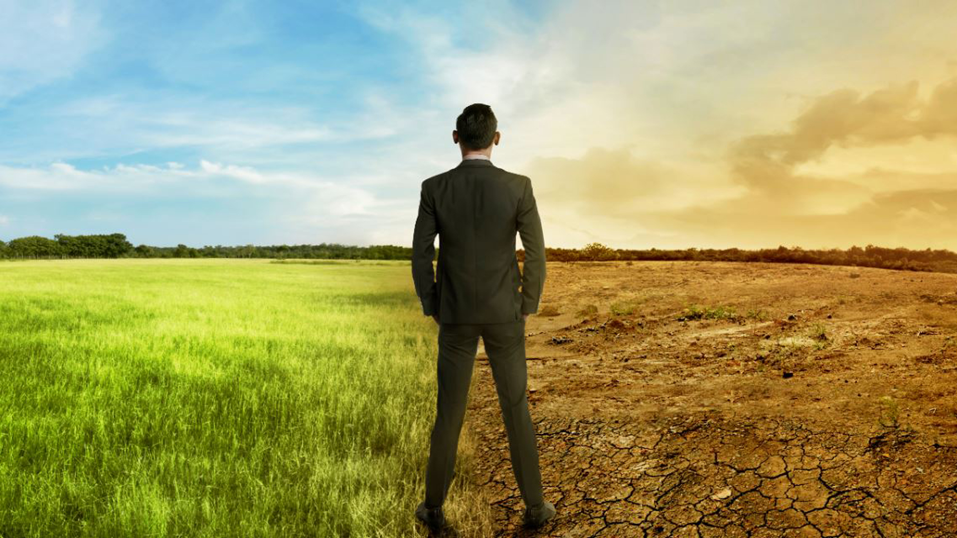 En los últimos cuatro años el aumento de la temperatura marcó récords sucesivos. (iStock)