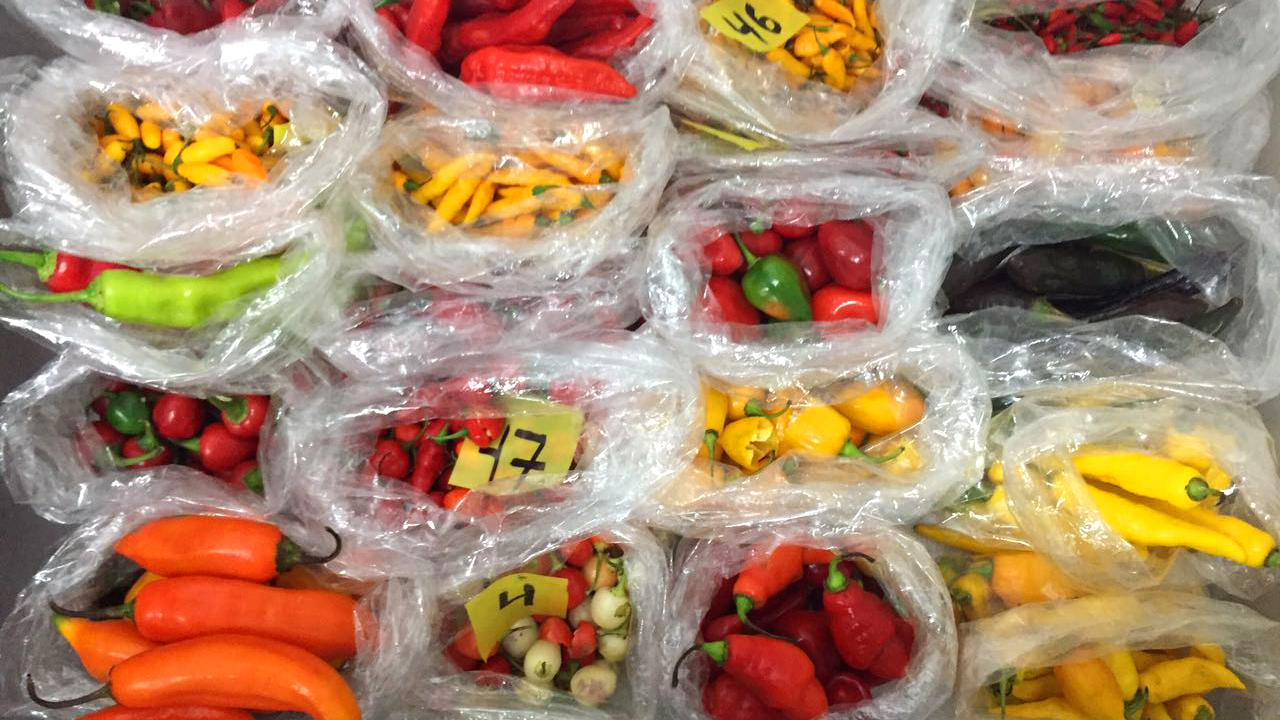 Alianza de sabores. Quieren que las ciudades de Lima y Buenos Aires lleven la cocina local hacia la cumbre mundial, y convertir a Sudamérica en un polo y destino culinario
