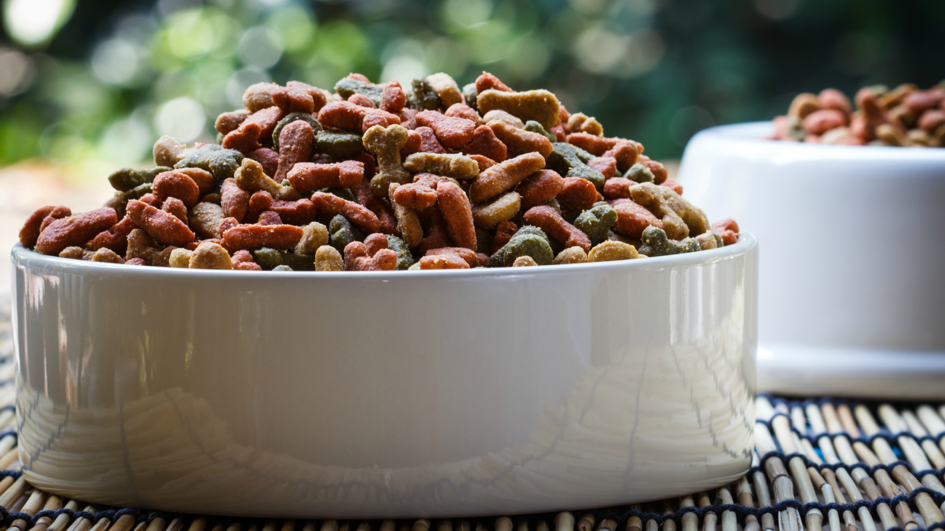 Una buena alimentación es un factor decisivo en la salud del animal (iStock)