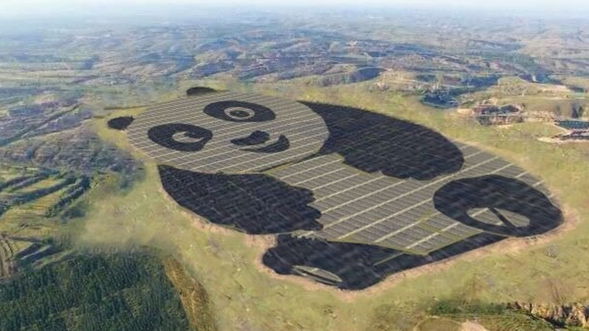 El gigante asiático exporta la imagen de “ternura” del oso panda, un animal autóctono, a varios niveles